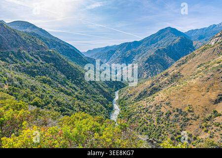 La rivière Kings serpente à travers un canyon boisé luxuriant entre les crêtes densément boisées de la Sierra Nevada, vues depuis un point de vue de sentier surélevé au-dessus. Banque D'Images