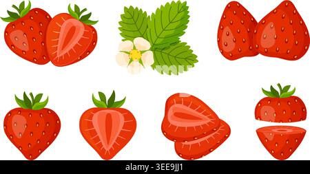 Ensemble de fraises avec des baies entières, des tranches, des feuilles et des fleurs, style vectoriel plat. Illustration fraîche et lumineuse. Pour autocollants, menus, affiches, emballages alimentaires, blogs de recettes, marque bio, décor de cuisine Illustration de Vecteur