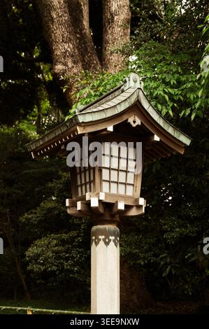 Lanterne japonaise traditionnelle en pierre avec boîtier en bois et toit carrelé entouré d'un feuillage vert luxuriant dans un cadre extérieur serein. Banque D'Images