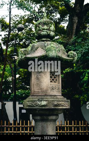Lanterne en pierre recouverte de mousse entourée d'arbres dans un sanctuaire à Kamakura, Kanagawa, Japon Banque D'Images