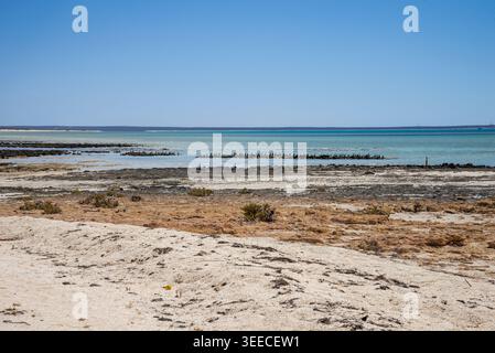 Sandy Beach et Rocky Tidal Flats avec mer turquoise et oiseaux au repos dans Hamelin Pool Under Clear Blue Sky, Shark Bay, Australie occidentale, 24 février 2023 Banque D'Images
