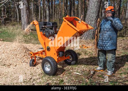 Déchiqueteuse de bois au travail dans la forêt, femme dans la machine d'exploitation d'équipement de sécurité, copeaux de bois volant Banque D'Images