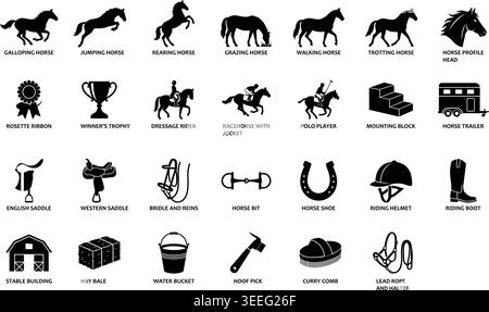 Collection complète d'icônes de glyphes équestres présentant des races de chevaux, de l'équipement d'équitation et des fournitures d'écurie. Idéal pour les clubs équestres Illustration de Vecteur