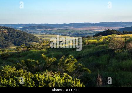 Ce paysage vaste met en évidence l'intégration de la vie rurale brésilienne, montrant des pâturages verts vallonnés pour le bétail aux côtés d'une euca à grande échelle Banque D'Images