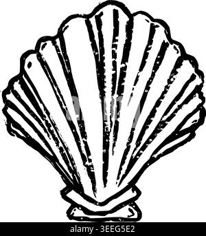 Dessin vectoriel de coquille de crête dessiné à la main Illustration de Vecteur