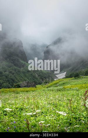 Une prairie verdoyante remplie de fleurs sauvages variées s'étend vers des montagnes spectaculaires entourées de brume. Un morceau de neige est visible sur un sl distant Banque D'Images