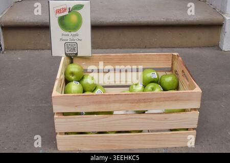 Londres, Royaume-Uni. 11 mai 2026. Une boîte de pommes Granny Smith vertes, faisant référence au logo Apple corps des Beatles, ainsi qu'un code QR qui renvoie à un site web sur le projet de musée, a été placée à l'extérieur du 3 Saville Row, le site du dernier concert du groupe, qui sera ouvert aux visiteurs en 2027. Le bâtiment classé Grade II était le siège des Beatles de 1968 à 1972 et leur dernier album, Let It Be, a été enregistré au sous-sol. Le groupe a joué le spectacle sur le toit. Crédit : Vuk Valcic/Alamy Live News Banque D'Images