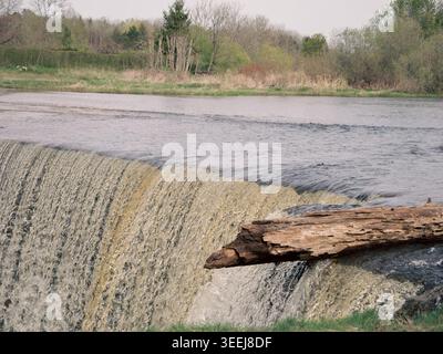 L'eau coule sur la large cascade de Jägala avec une bûche altérée sur le bord, rivière Jägala, Estonie, au printemps Banque D'Images