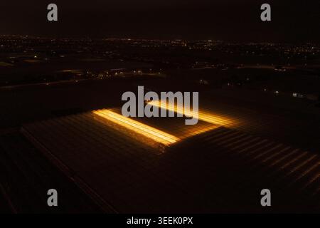Vue aérienne de grandes serres industrielles éclatant avec une lumière orange intense pendant la nuit. Banque D'Images