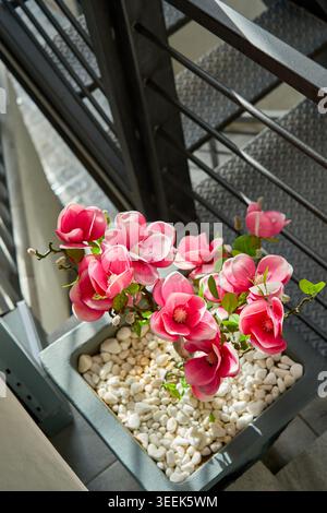 Magnifique magnolia rose artificiel et tulipes roses avec des fougères vertes disposées dans une jardinière contre un mur beige Uni. Banque D'Images