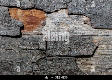 Surface en bois usée gros plan. Gros plan montrant des fissures sur une vieille surface de bois altérée. Image haute résolution accentuant la texture et les fissures de Banque D'Images