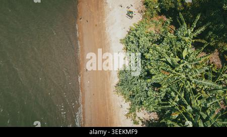 Vue aérienne du rivage avec une plage de sable et une végétation tropicale luxuriante à Badagry, Lagos, Nigeria. Banque D'Images