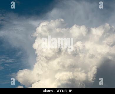 Colonne de nuages massive s'élève contre le ciel bleu profond. La formation volumineuse de cumulus montre une texture et un mouvement météorologiques spectaculaires. Concept d'atmosphère natu Banque D'Images