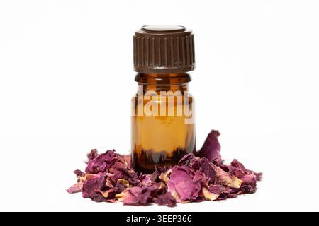 Huile essentielle de rose dans une bouteille en verre ambré entourée de pétales de rose séchés isolés sur fond blanc Banque D'Images