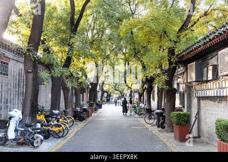 Hutong en Chine avec des filtres de lumière du soleil à travers les arbres d'automne bordant une rue calme. Les gens se promènent calmement, absorbés dans un environnement serein. Vélos et Banque D'Images