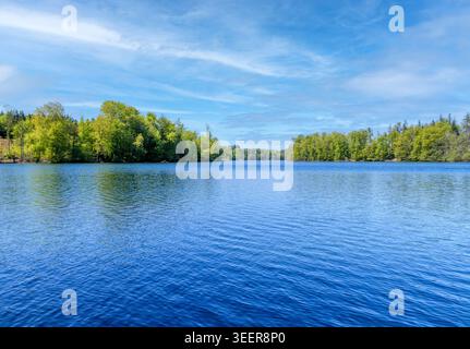 Langbürgner See, près de Bad Endorf, région des lacs de Eggstätt-Hemhof, haute-Bavière, Bavière, Allemagne Banque D'Images