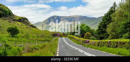 Route de campagne serpente à travers des paysages luxuriants entre Clew Bay et Killary Fjord dans l'ouest de l'Irlande. Un paysage calme en bord de route encadré par des montagnes et des flux Banque D'Images