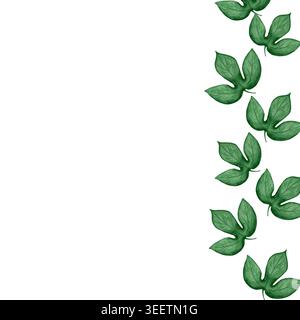 Feuilles de fruit de la passion cadre de l'illustration d'aquarelle sur fond blanc. Feuille de plante tropicale peinte à la main, clipart botanique, clipart nature, design Banque D'Images