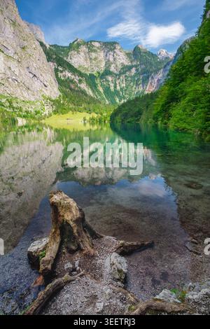 Obersee montagne lac Alpes Bavière Allemagne vue avec une souche d'arbre au premier plan, eau transparente, falaises miroitantes et forêt luxuriante autour de l'al Banque D'Images