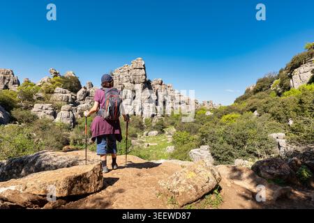 Vue arrière d'une femme âgée active, portant un sac à dos et des bâtons de randonnée, debout sur une falaise et regardant les formations rocheuses calcaires à El Torcal de Banque D'Images