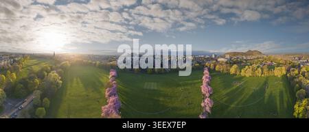 Vue aérienne du parc Meadows avec ses cerisiers en fleurs, le château d'Édimbourg à l'horizon, et le siège d'Arthur sous un doux ciel de coucher de soleil Édimbourg, S. Banque D'Images