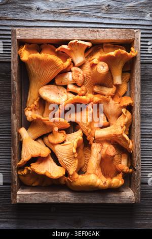 Caisse en bois rustique pleine de champignons chanterelles dorés. Nourriture biologique, champignons sauvages, saison d'automne Banque D'Images