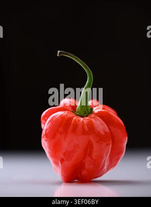 Poivre habanero rouge sur fond dégradé foncé avec éclairage et réflexion dramatiques. Chili chaud, tournage studio, produits frais, contraste Banque D'Images