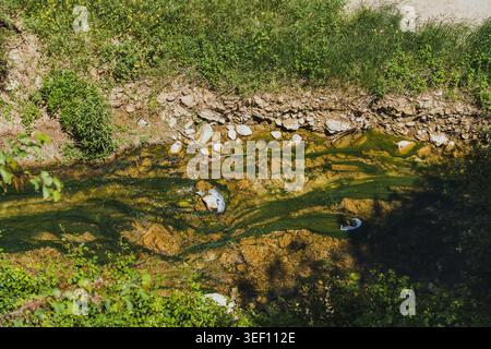 Vue aérienne du Rocky Stream qui traverse la luxuriante forêt verte Banque D'Images