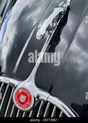 Gros plan d'un ornement de capot chromé et d'un emblème rouge sur une Jaguar XK150 vintage noire lors d'un salon automobile au Royaume-Uni Banque D'Images