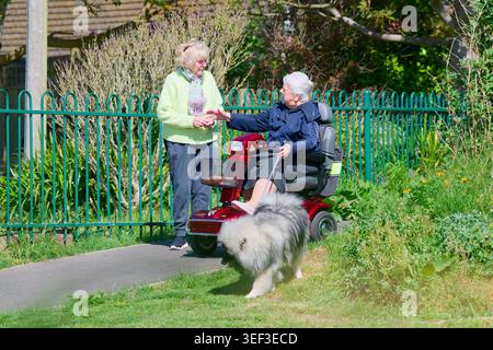 Paire de femmes âgées ou de dames âgées, une dans un scooter de mobilité et promenant un chien, bavardant dans un parc sur un froid mais ensoleillé jour de printemps au Royaume-Uni. Banque D'Images