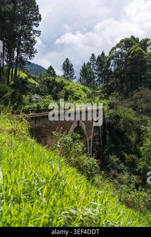 Vue panoramique d'un viaduc ferroviaire en pierre historique avec une construction voûtée incurvée à travers une forêt verte dense et la jungle tropicale sous un ciel nuageux, Banque D'Images