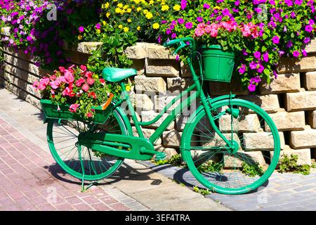 Une installation florale colorée utilisant un vélo vert vif contre un mur de pierre. Banque D'Images