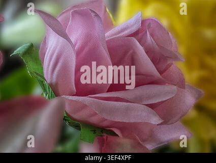Une plante artificielle d'intérieur rose Magnolia Banque D'Images