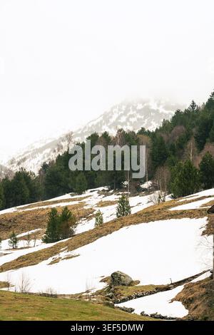 Une vue panoramique verticale des Pyrénées andorranes à la fin de la saison hivernale. Le paysage présente des pentes enneigées, une forêt alpine de haute altitude Banque D'Images