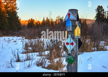 Panneau de signalisation de piste d'hiver dans Snowy Forest Clearing avec flèches directionnelles Banque D'Images