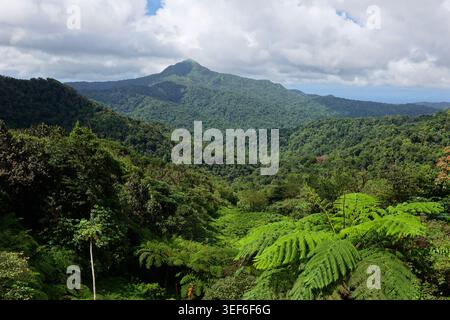 Vue sur les montagnes de la Martinique depuis la route D1 (Fonds-Saint-Denis, Martinique, France) Banque D'Images