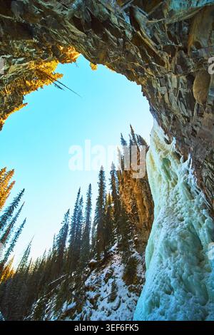 Cascade gelée et falaise rocheuse avec pins dans la forêt d'hiver Alberta Banque D'Images