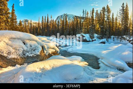 Lever de soleil d'hiver sur Frozen River et Snowy Natural Bridge dans Pine Forest Banque D'Images