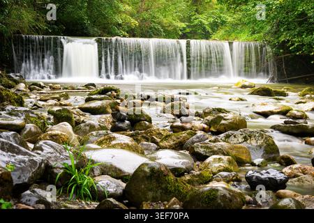 Cascade de la forêt sereine en cascade au-dessus des rochers de la rivière Mossy Banque D'Images