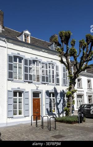 Façade blanche avec volets gris et vieil arbre, Eijsden, Limbourg, pays-Bas Banque D'Images
