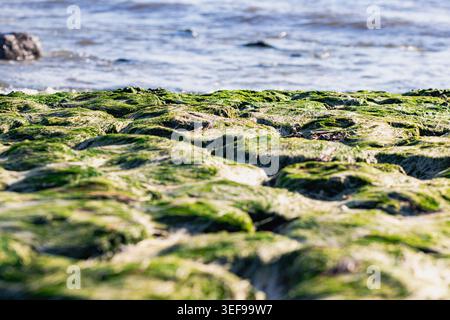 Photographie de paysage marin serein mettant en scène des eaux calmes de l'océan et un ciel bleu clair à la ligne d'horizon naturelle. Parfait pour paisible, méditatif et bien-être-f Banque D'Images
