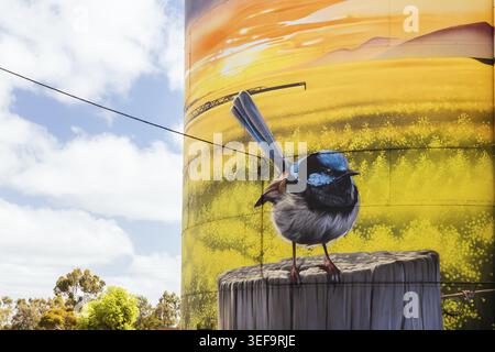 RUPANYUP, AUSTRALIE - SEPTEMBRE 27 2025 : murale de silo Rupanyup sur le Silo Art Trail lors d'une journée de printemps ensoleillée dans la région de Wimmera Mallee à Victoria, Aus Banque D'Images