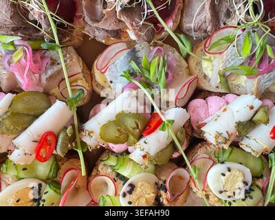 Collations de restauration magnifiquement arrangées avec du poisson, de la viande rôtie, des œufs, des radis, des concombres, et les herbes, parfaites pour les célébrations et la présentation élégante des aliments Banque D'Images