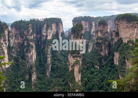 Majestueux piliers de grès s'élèvent de façon spectaculaire au-dessus des vallées verdoyantes à Zhangjiajie, en Chine, montagne Avatar Banque D'Images