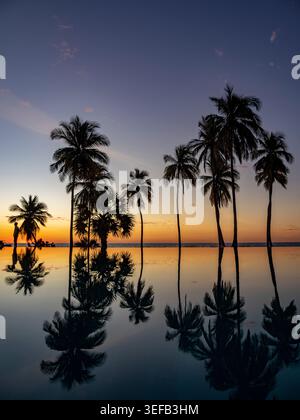 Coucher de soleil reflet de palmiers en piscine à débordement au Resort à Madagascar Banque D'Images