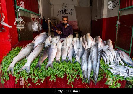 L'homme vend du poisson frais dans le marché de la vieille ville de Peshawar, Pakistan Banque D'Images