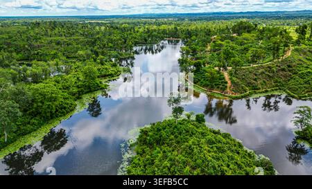 Vue aérienne des jardins de thé et des cours d'eau à Sreemangal, Bangladesh entouré de verdure luxuriante et de paysages vibrants Banque D'Images