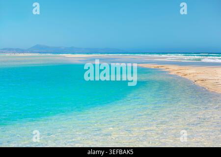 Profitez des eaux claires et des rives sablonneuses de la plage de Sotavento à Fuerteventura, en Espagne, par une journée ensoleillée Banque D'Images
