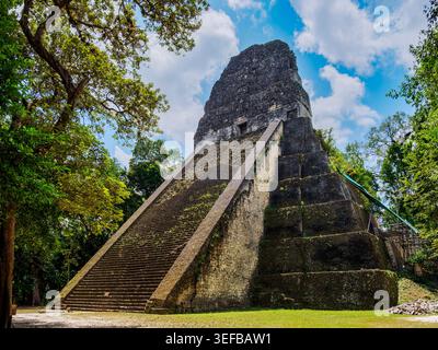Explorer le Temple V à Tikal révèle l'ancienne architecture maya au Guatemala au milieu de la nature Banque D'Images