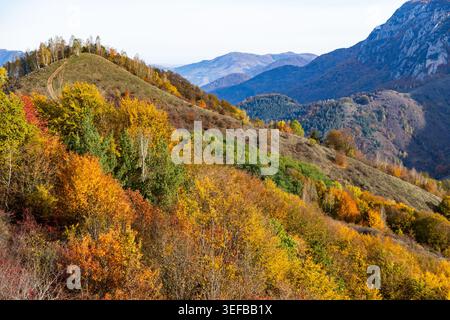 Les arbres colorés remplissent une colline de nuances d'automne vibrantes en Roumanie, mettant en valeur le changement saisonnier de la nature dans le feuillage Banque D'Images
